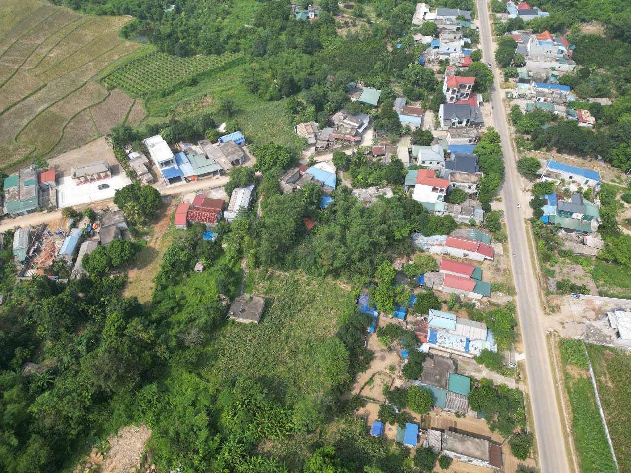 hinh anh thuc te 3.jpg_bak_638759883504900025