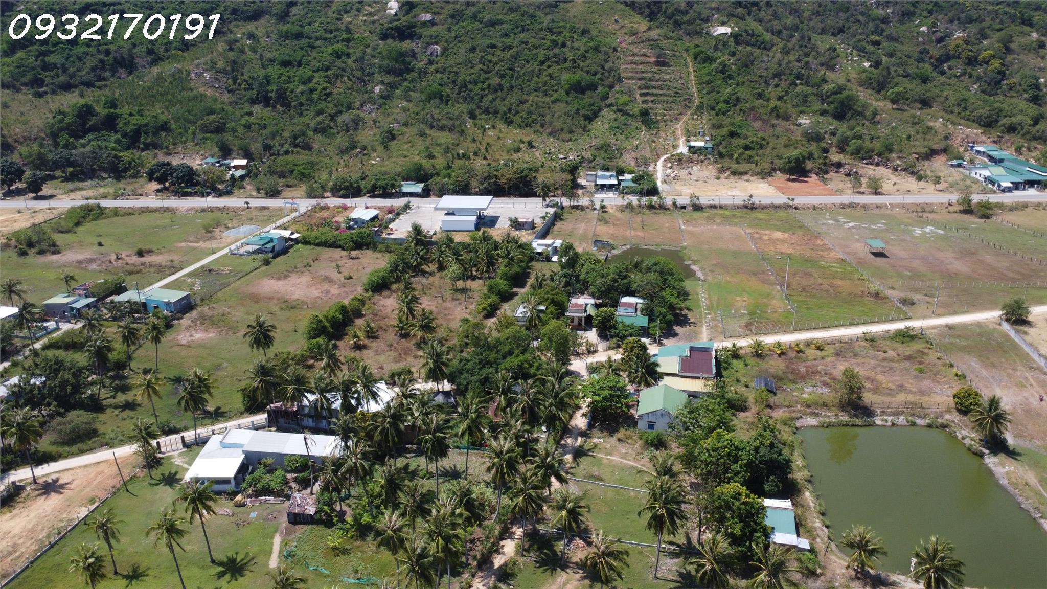 z4237342382945_737a78e89acdd2a0eeb7b68488ead22c