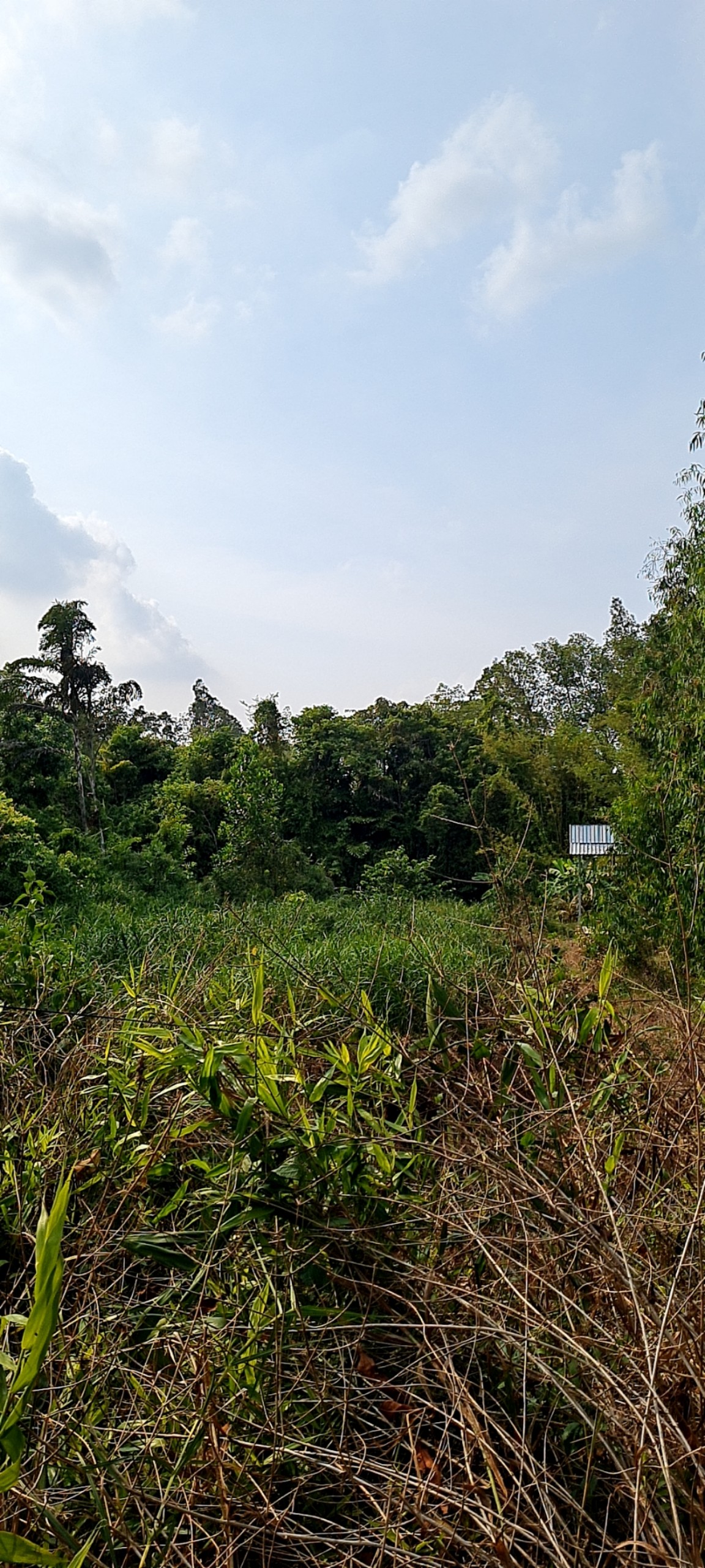 z5245474543142_a49a8dc6fd2d16aa2ad864034730a3b3