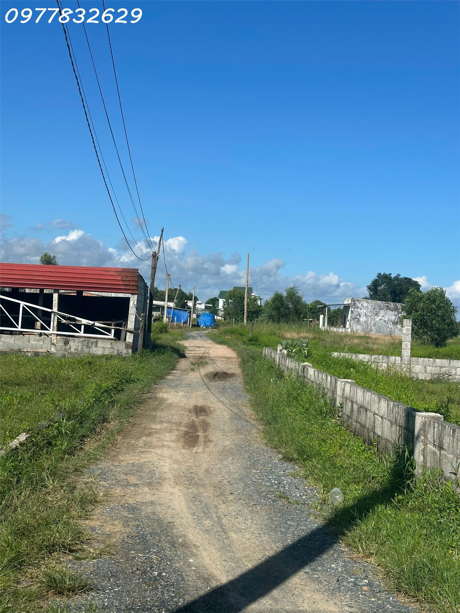 z5872759094328_5b9486e0836495ae8f07d65f71d7bb00