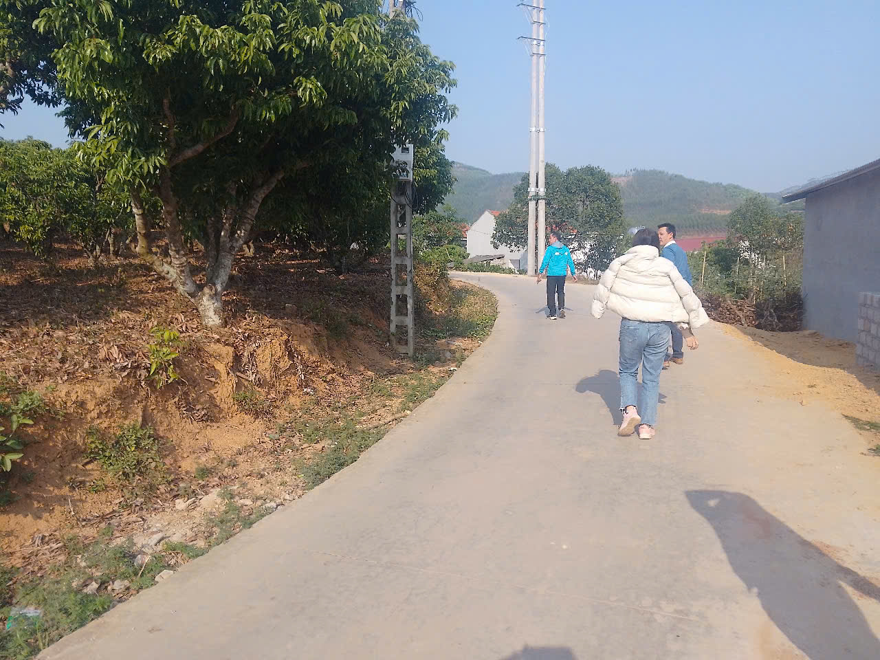 z6177186952474_90d6bcd8a680b9deb67c189e8814ecc2