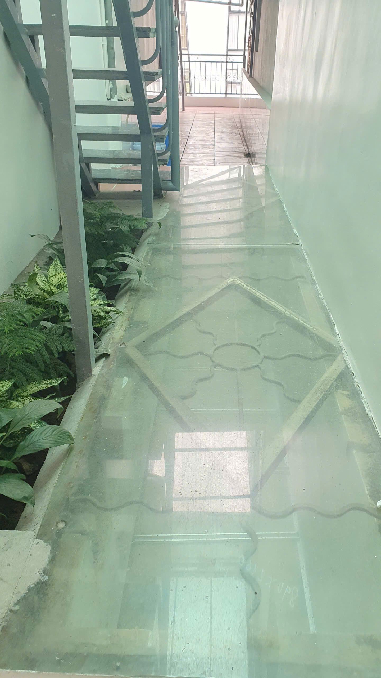 z6295803775325_99994cfccfde39ea1069f3b968341341