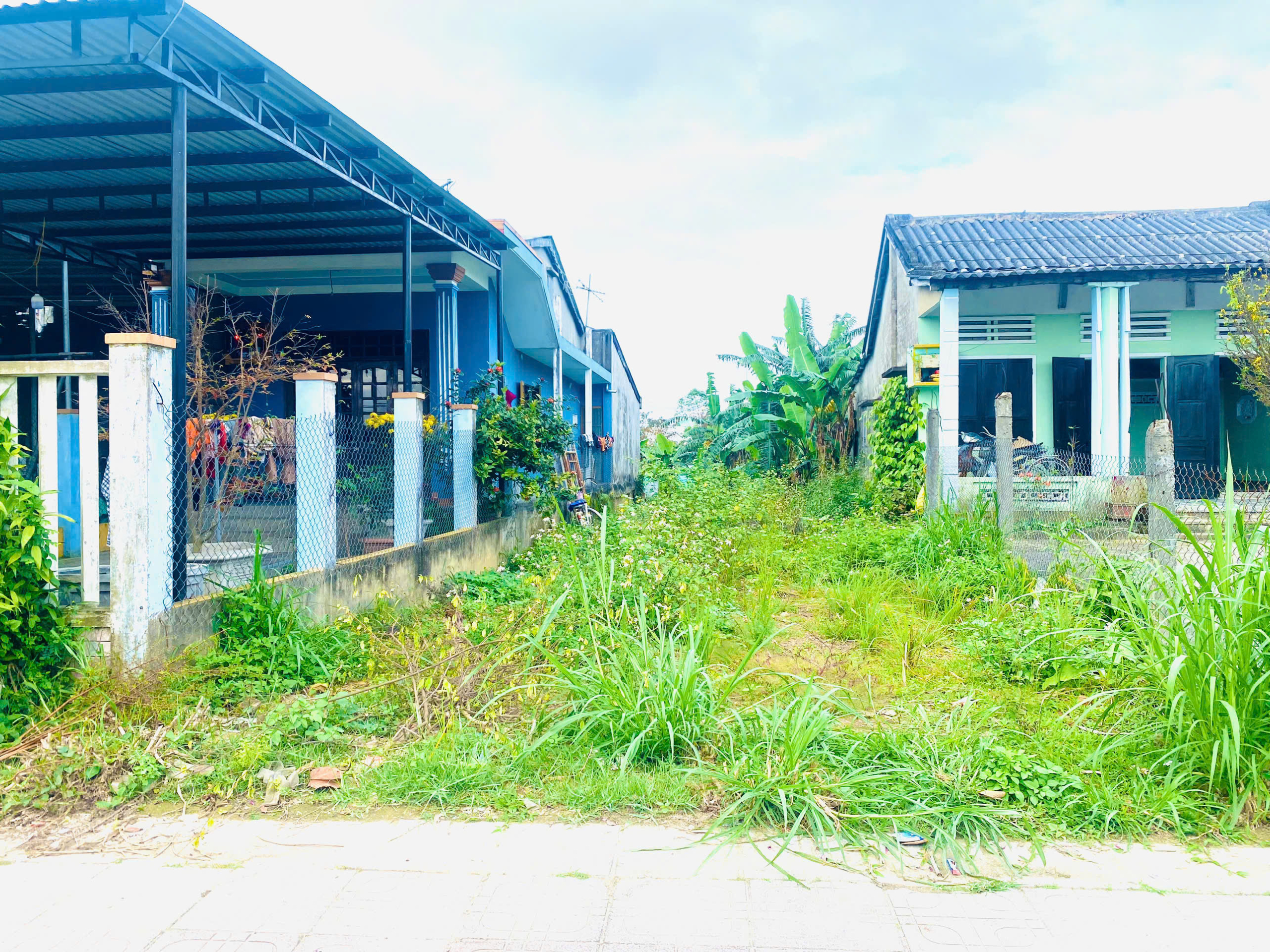 z6311115211770_6f304de8264dc5dd3f0b55dc17e1df0f