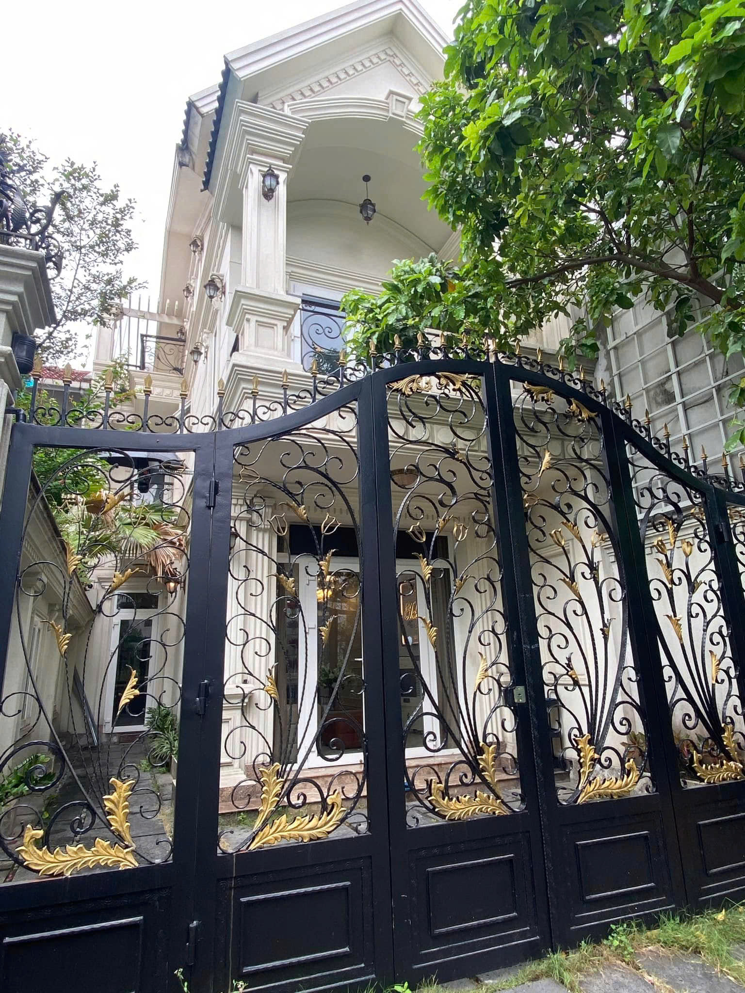 z6311946998032_12e1124afd5c975f39fcc6ef03b6b115