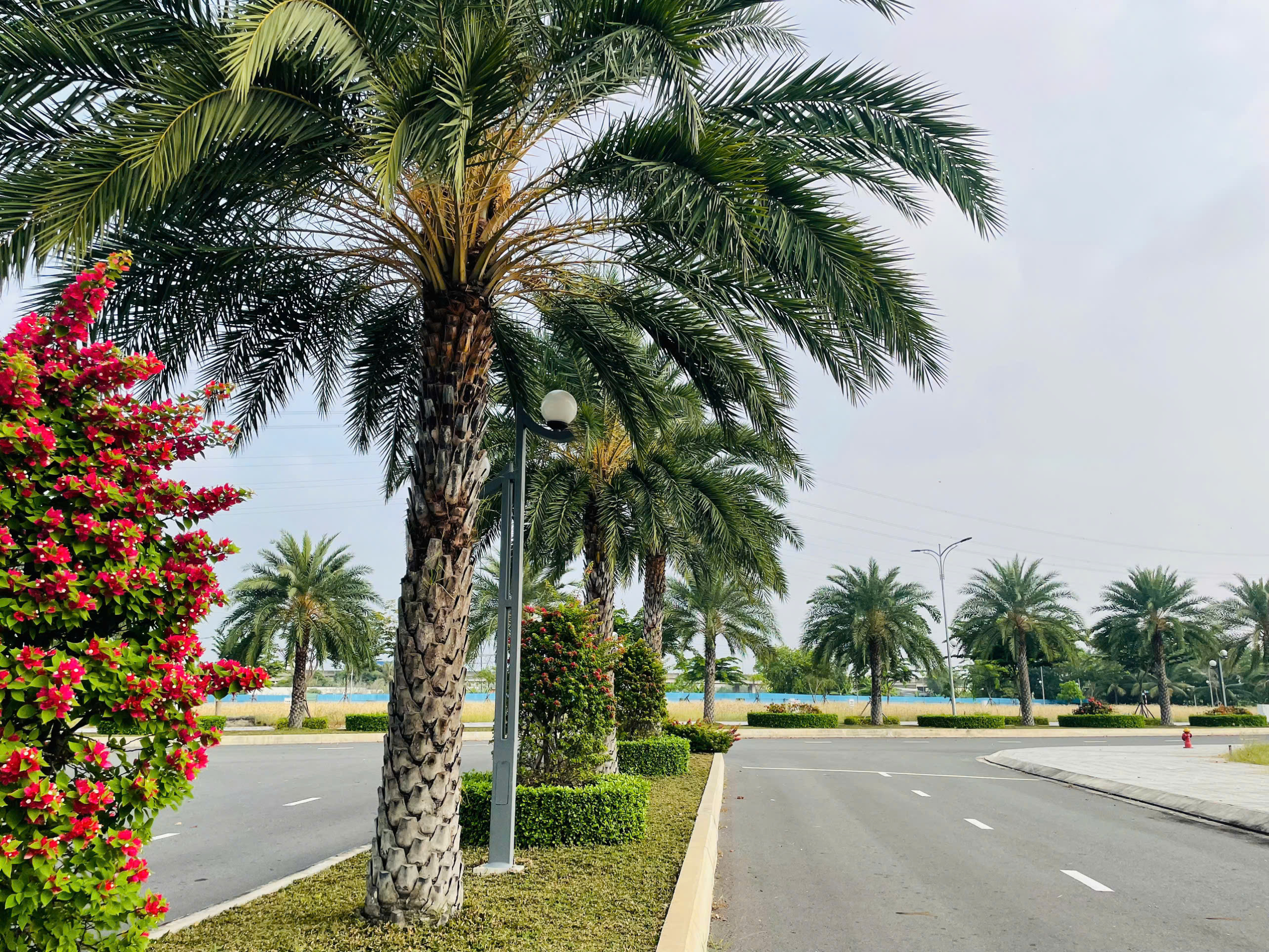 z6315793094423_a5ddef96f03f300311d42d12b0dec0f5