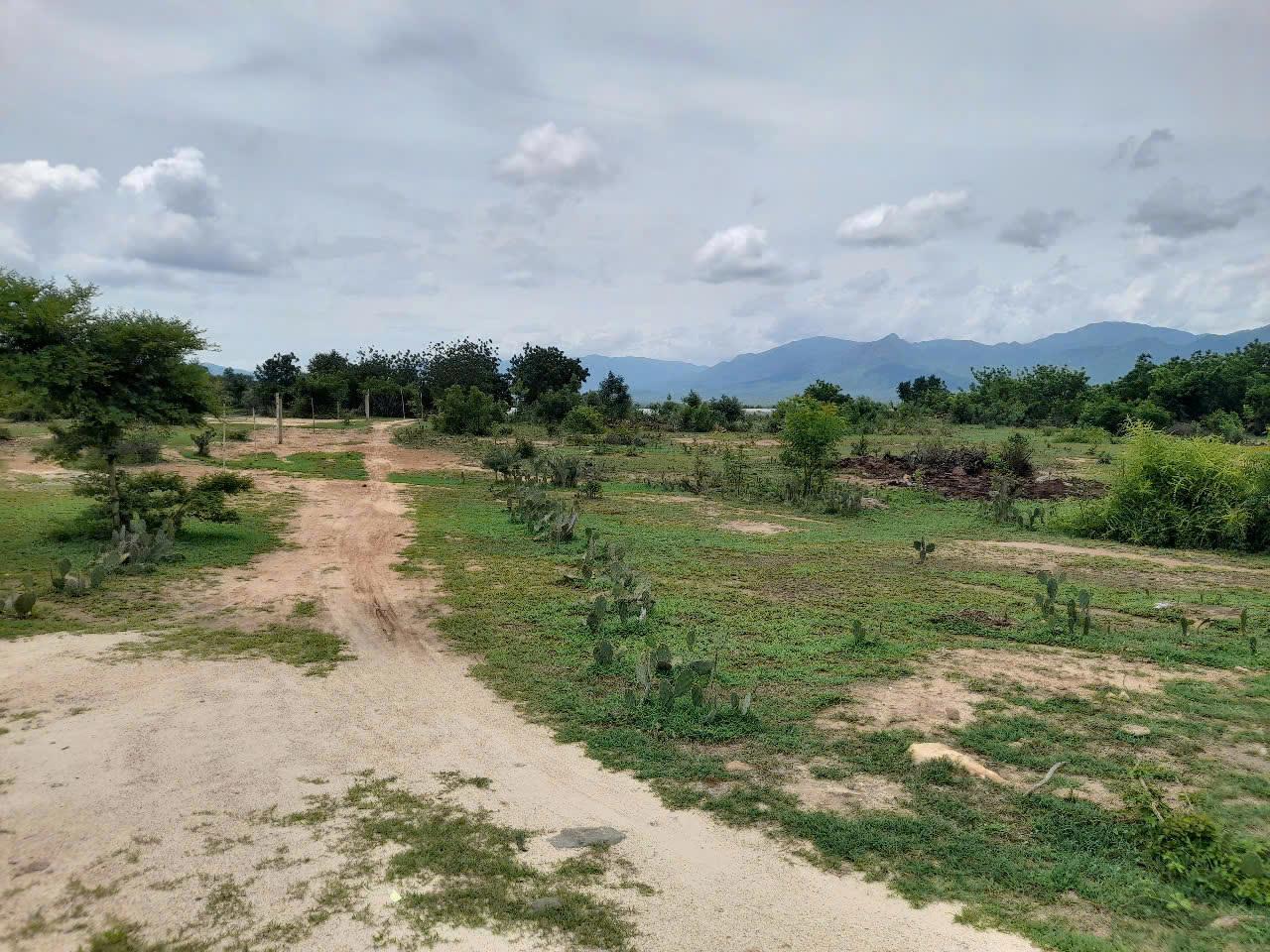 z6331478678919_fe5565501b4648754eeed65d873eee59