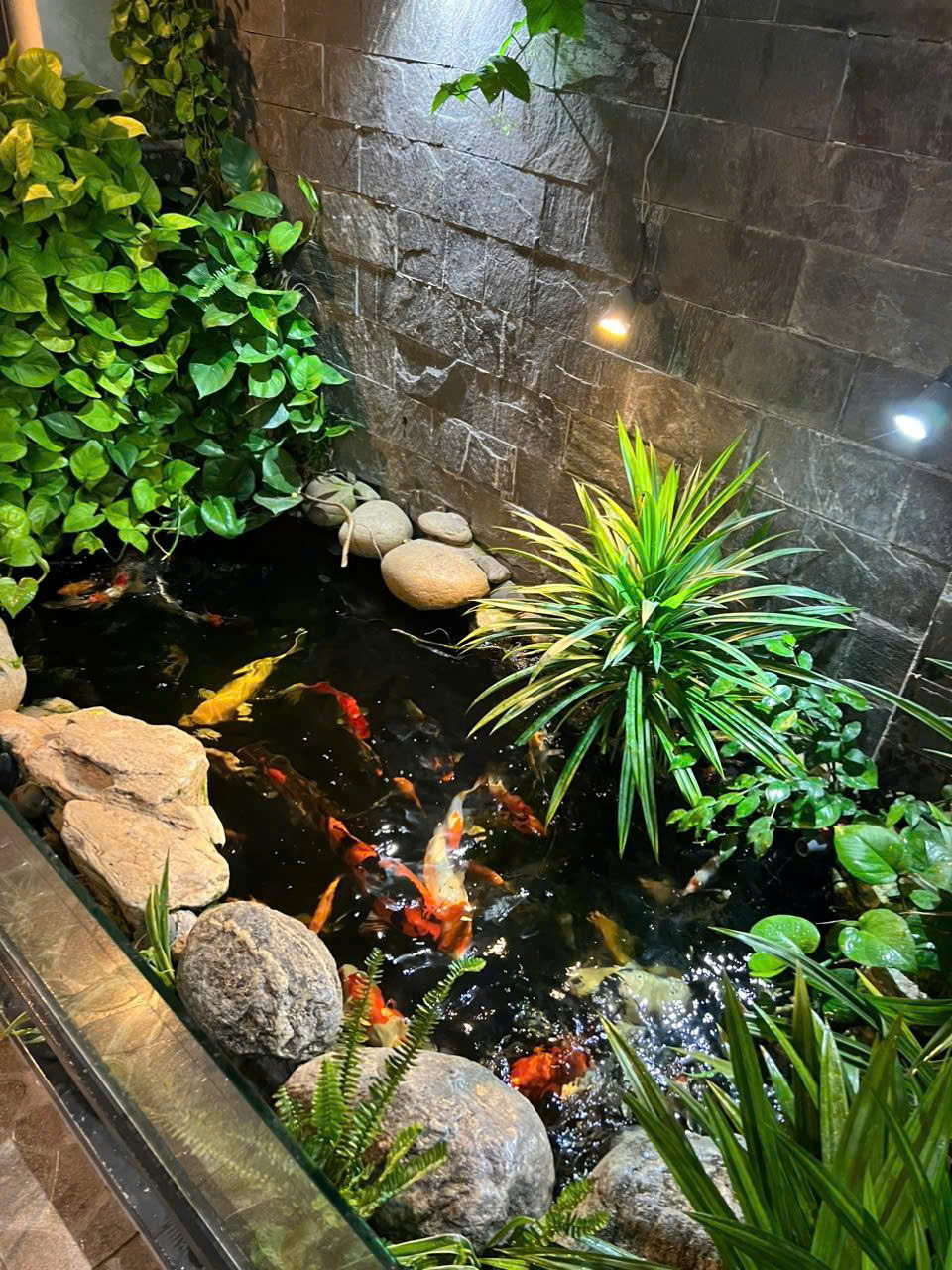 z6334139378560_46a4e28b44f68031cce3b535f15fde7b