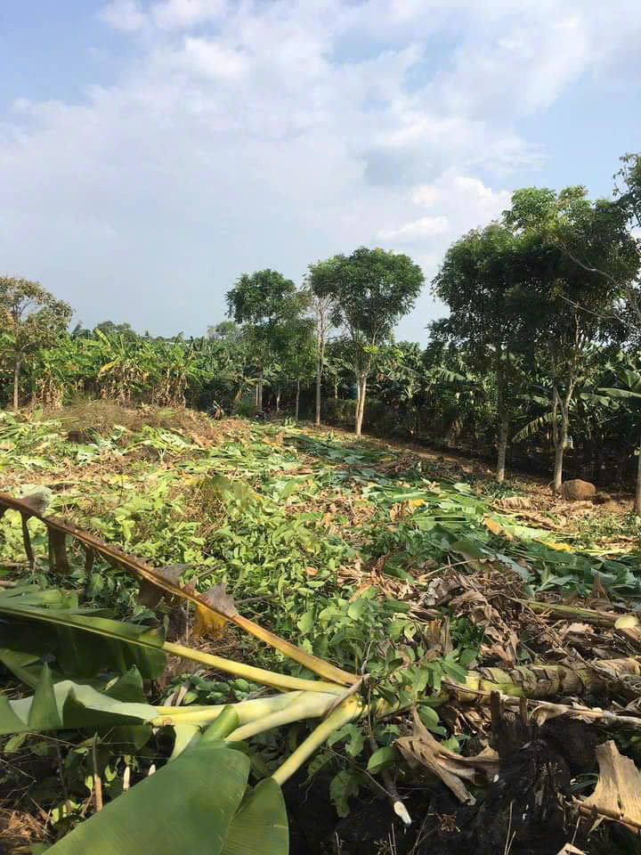 z6334444611773_eee7a2a80ec25cf183167d5780212c60