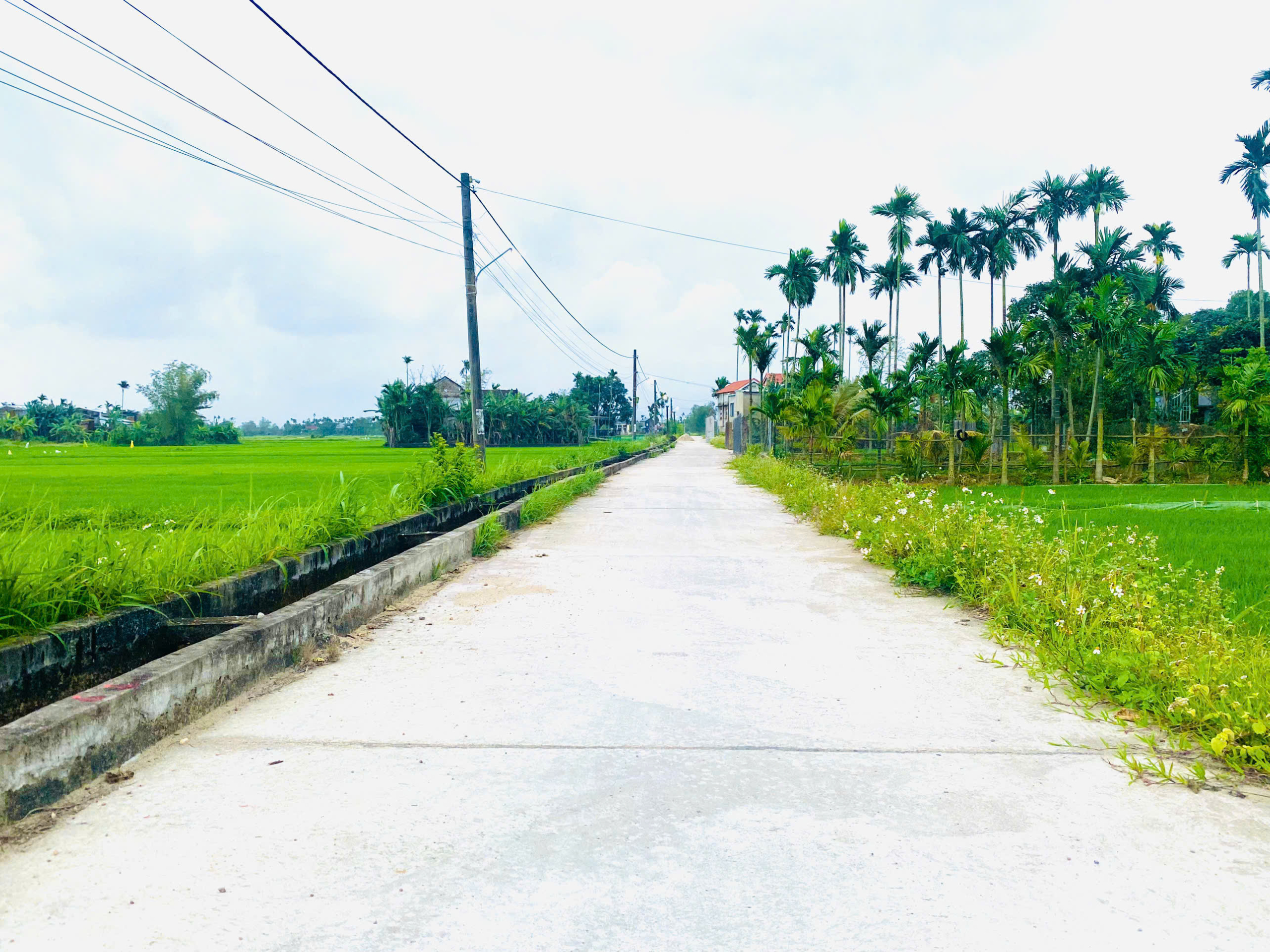 z6335809078798_21d9384b16ac9ed3774e0ea8499c1dd0