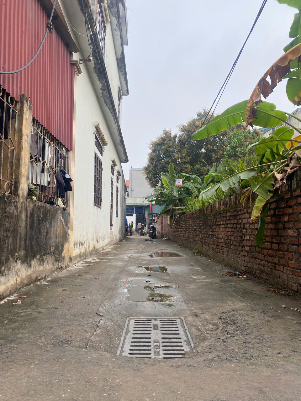 z6335870082352_851768f305609a2ee2a465ba63bc1e9f