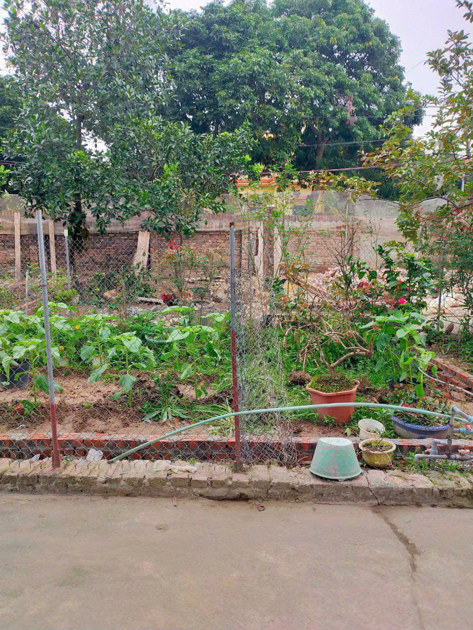 z6337726242315_de099fa441e18bae22286a6c9be8031e