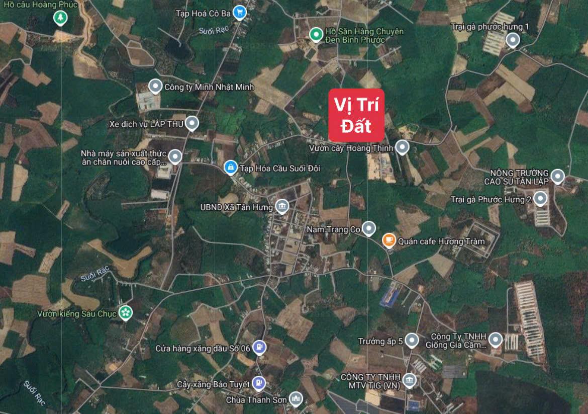 z6338763275993_09e5374f31e51a236e94247dae9c183e