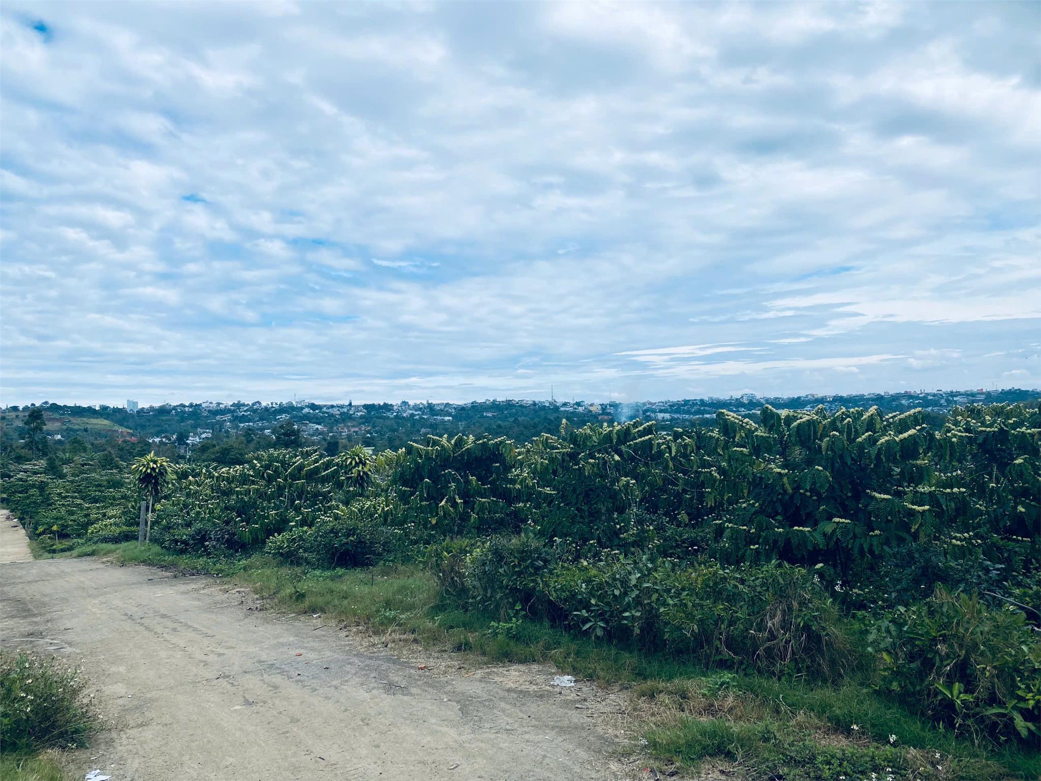 z6341867979159_a768797be47b558467aeeb2a219d9ac0