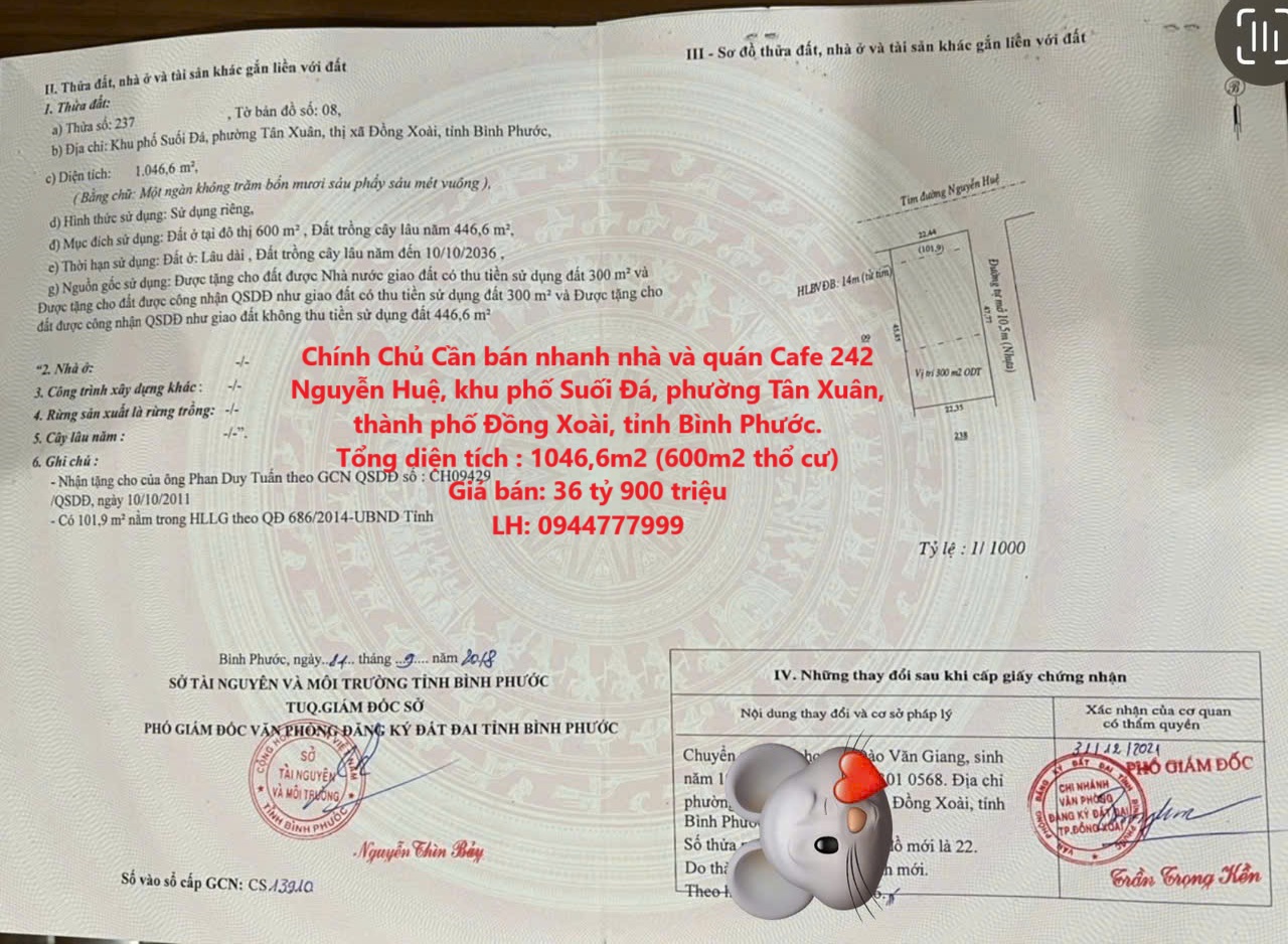 z6342606470800_a819dcc7c0ec4abdb39f1b89025ef75