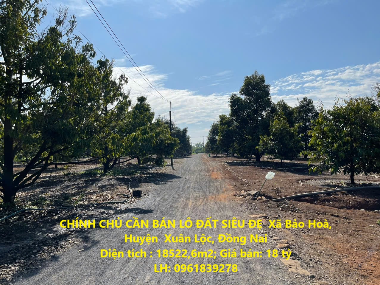 z6343574849717_c5688fe11572b716fc1daab4ba06e3fa (1)