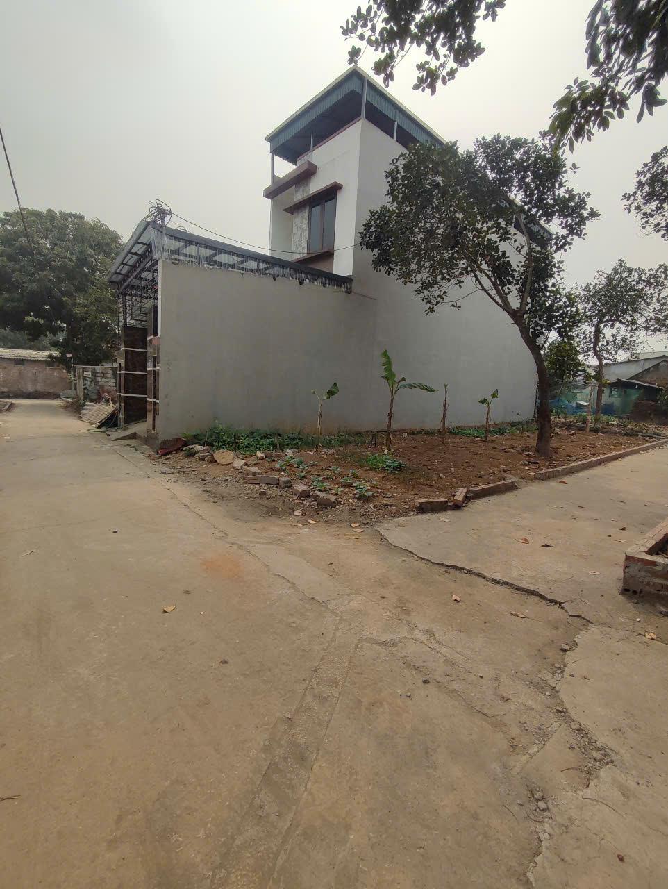 z6345347701557_0cfcd439cb48302294c3e3026e534751