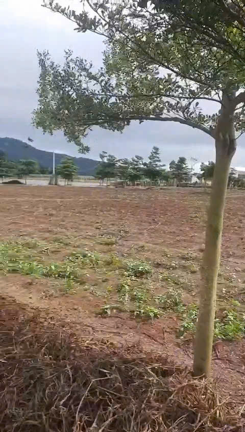 z6347603599251_dafa42ea6d12e6cb980d662a47d5f323