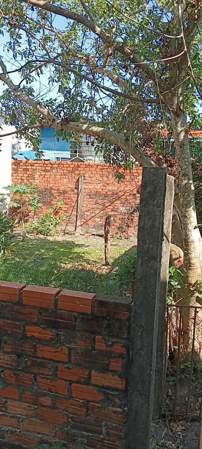 z6347629403653_f6d07ce0dff4066f5132d04c76dfa0f2