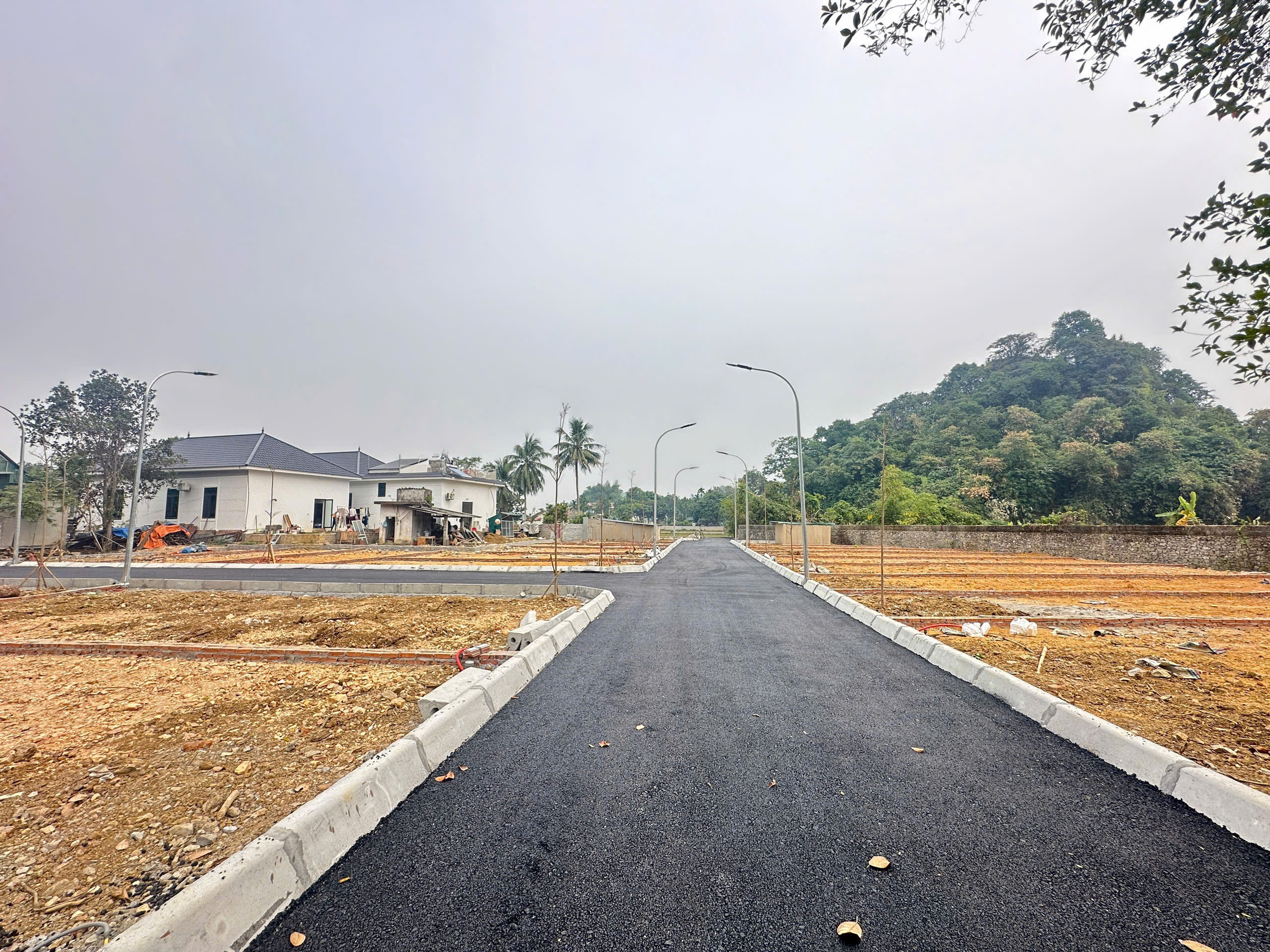 z6349954912593_d431ed87b235581f43baffb08ffb414e