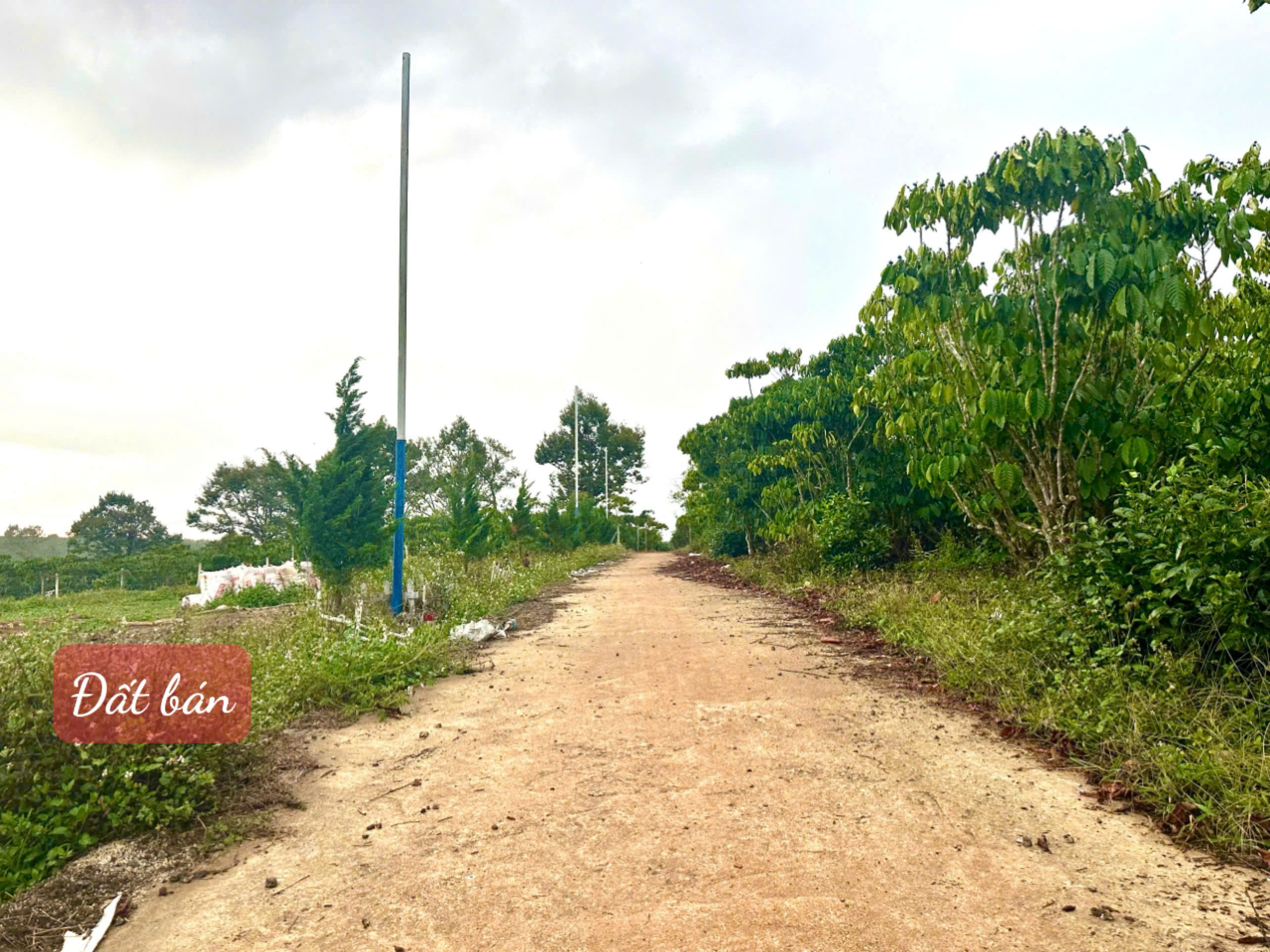 z6350216314049_800c3f94112a8e1ca0070f7759c4a8cc