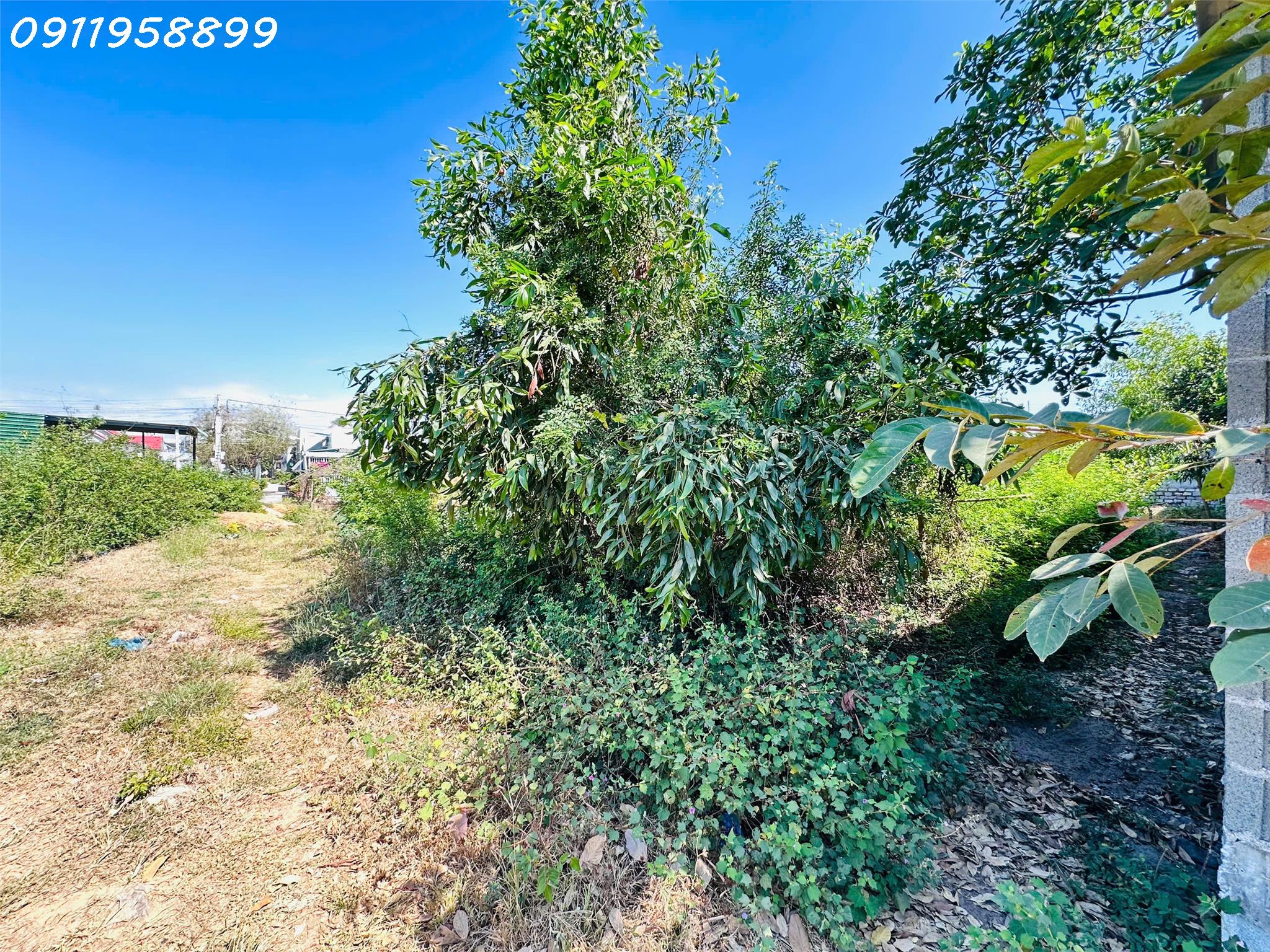 z6359799642717_96cc56fae620cf9172ddd4da27ccefcd