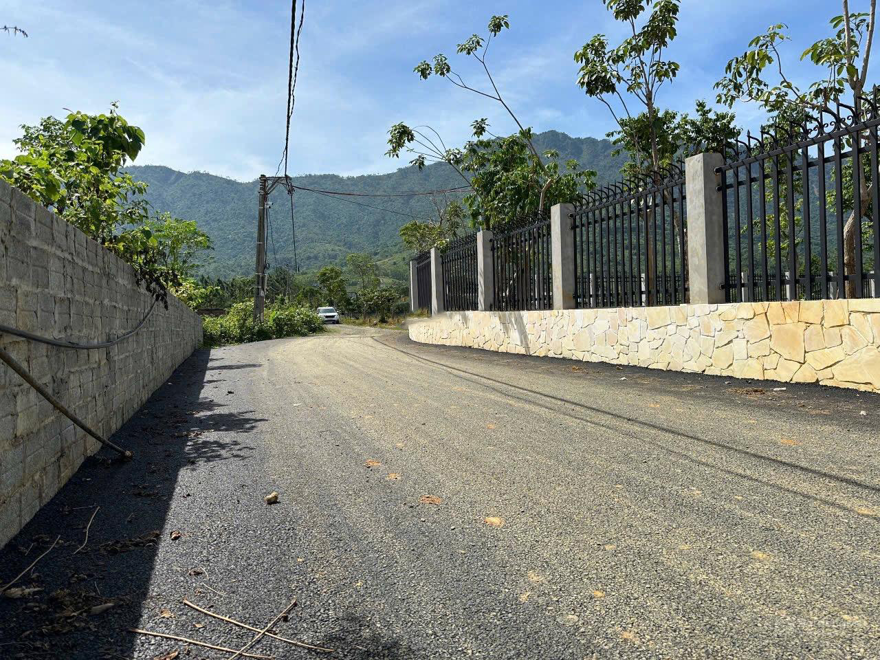 20250304152400-f1c5_wm (1)