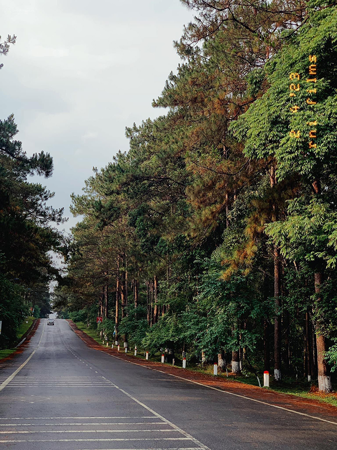 20250317160426-f22b_wm