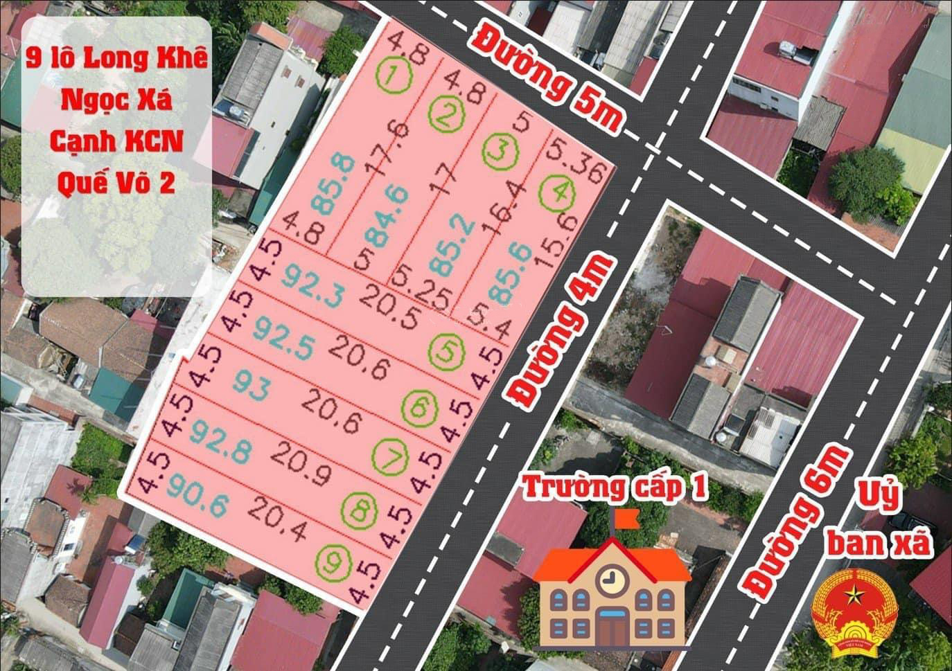 20250319123957-d9c0_wm (1)