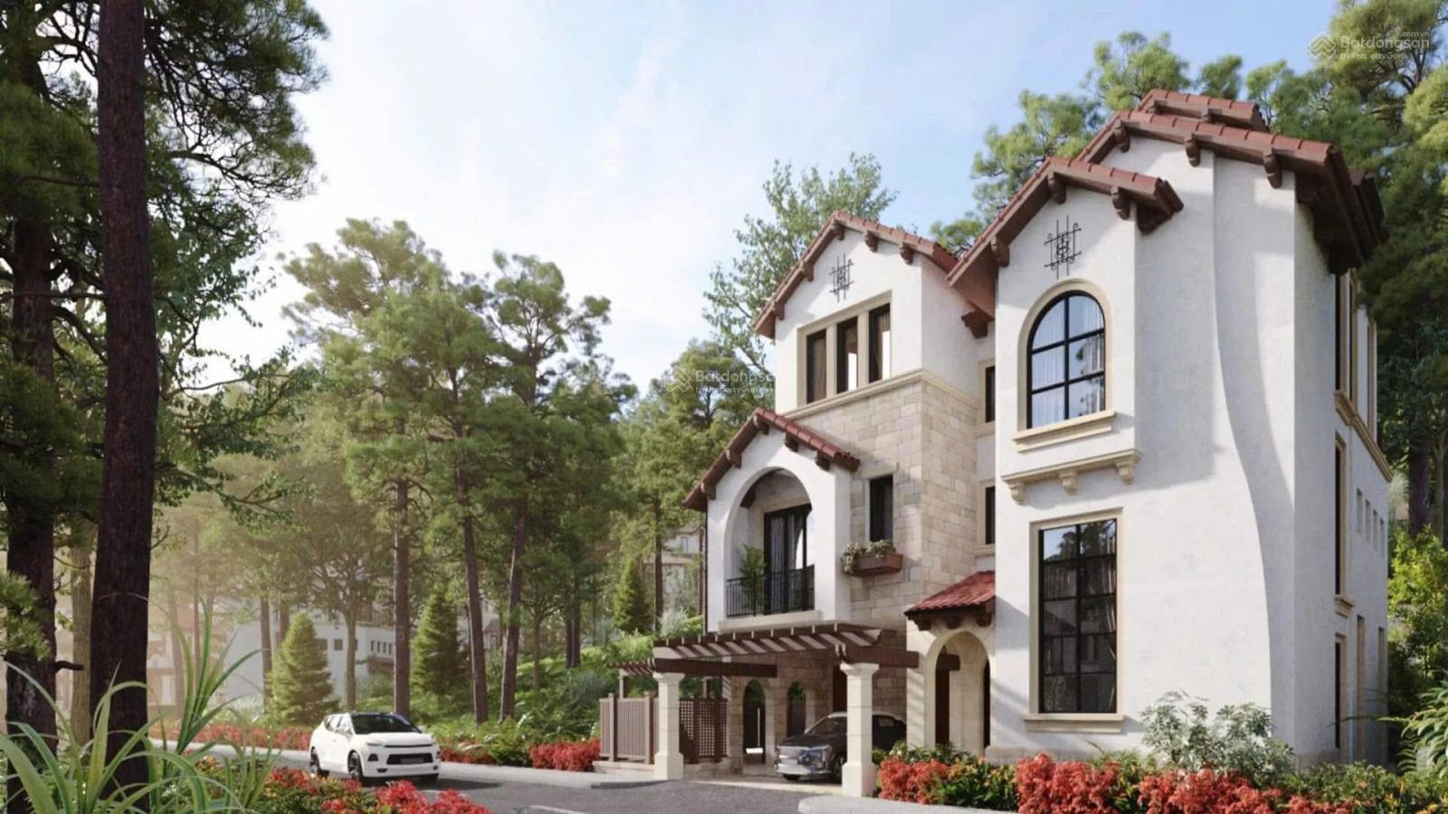 20250327143629-8e2e_wm (1)