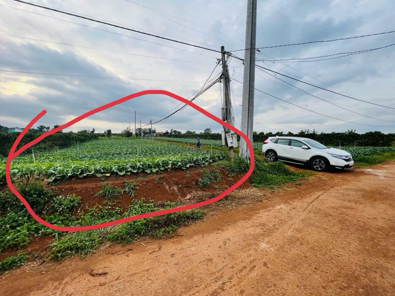 44df08780bb9bbe7e2a8