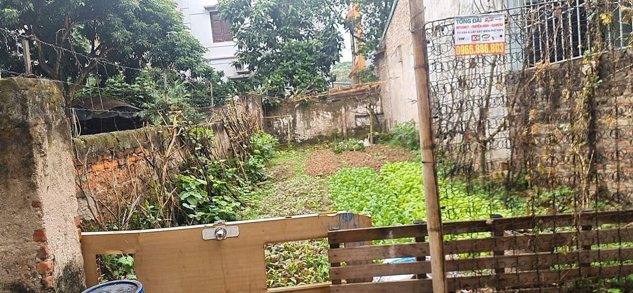 464932488_3860699354198857_6501113207994194440_n