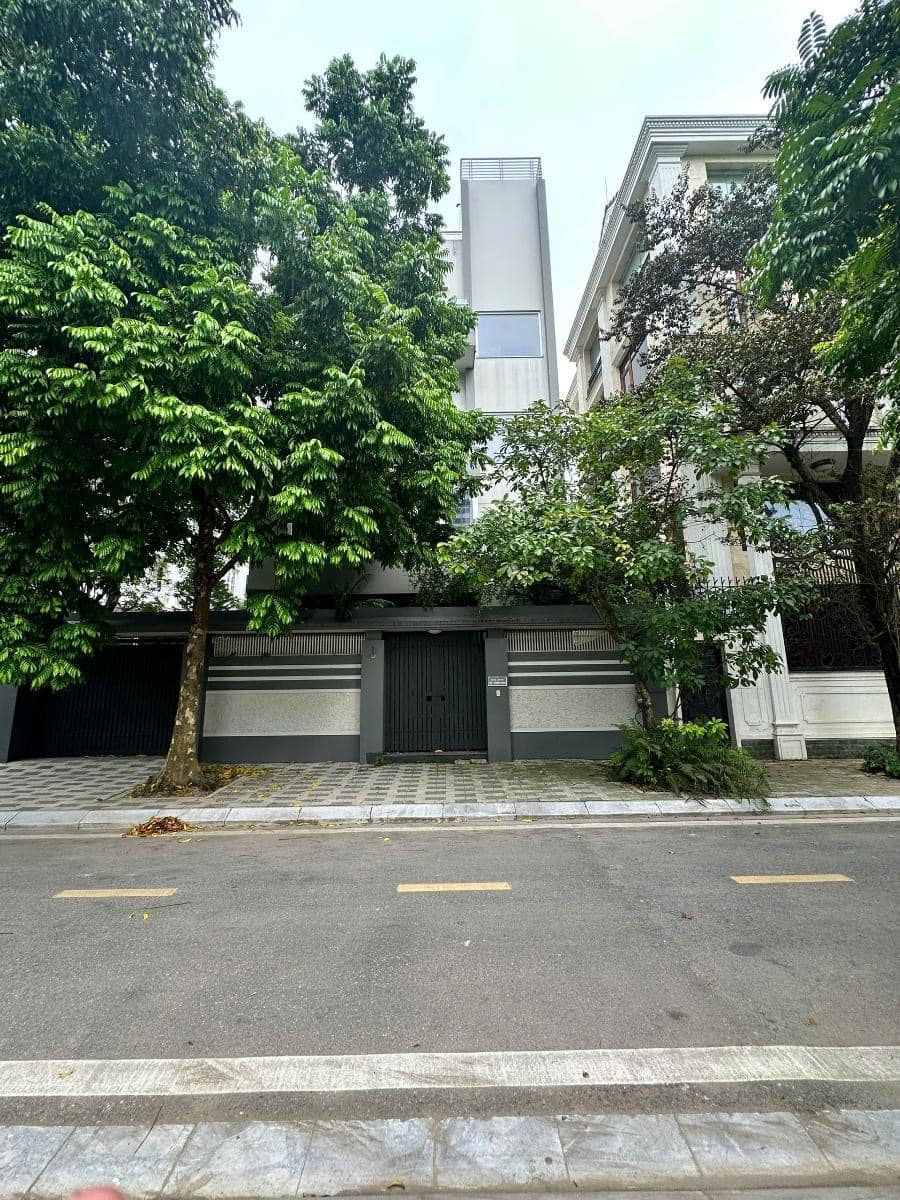 481959034_1933073567226183_2258392192946118556_n