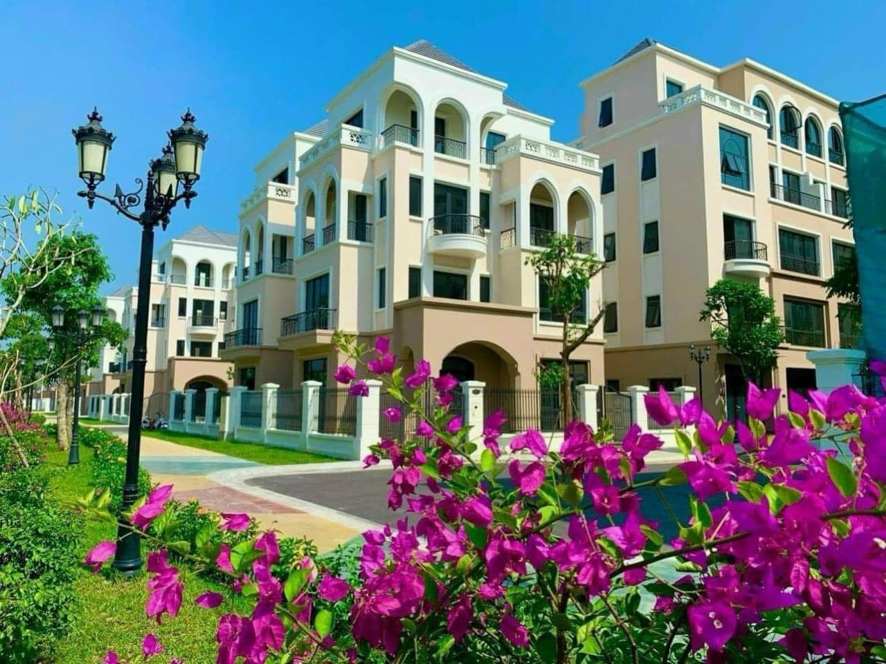 482242065_1635010270464918_4065771040154646593_n