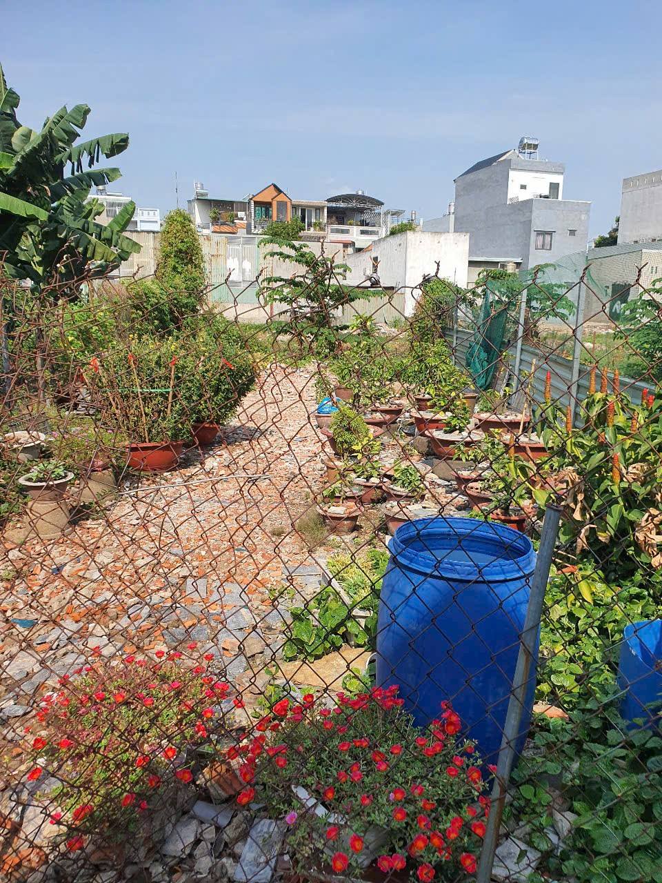 485278108_649286281135939_4709304635506804469_n