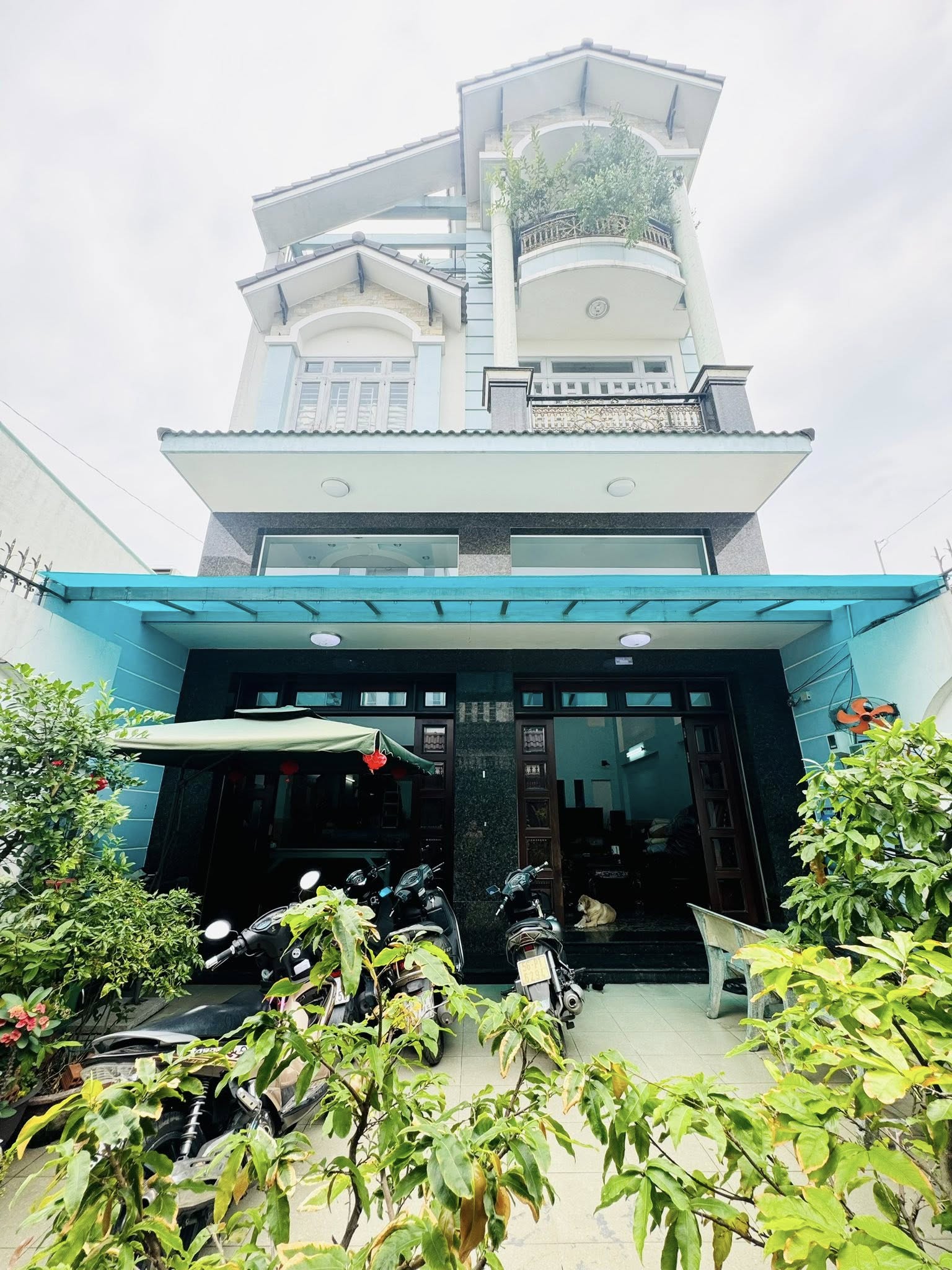 485734282_28919526167693471_7505226461641959269_n