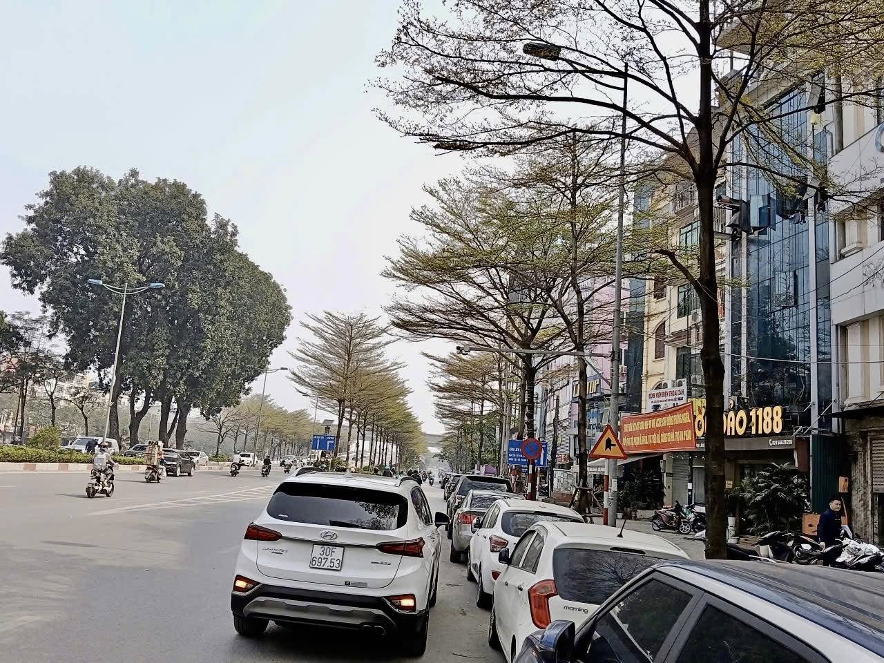 486460773_1036383108548743_8714890797431713740_n