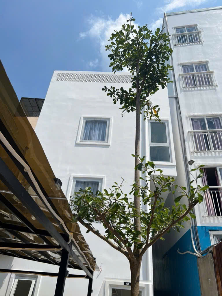 5ab9dedb24fe95a0ccef