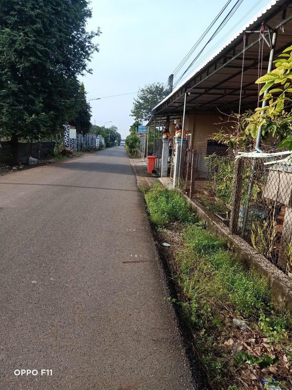 87c8dcc6448bf5d5ac9a