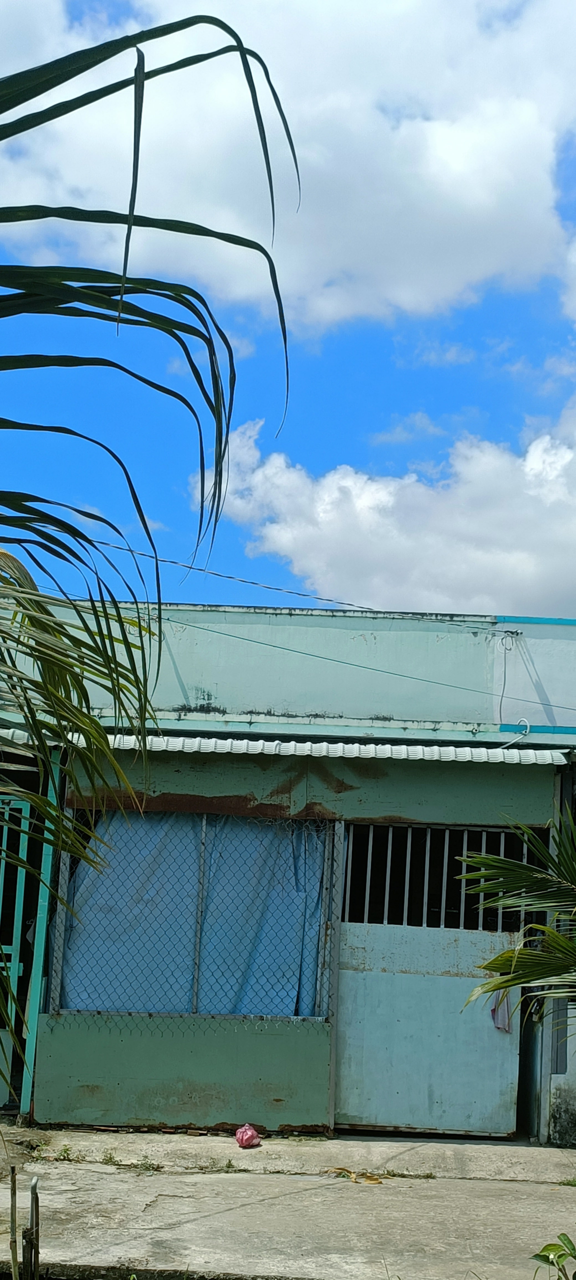 IMG20241030113928-min