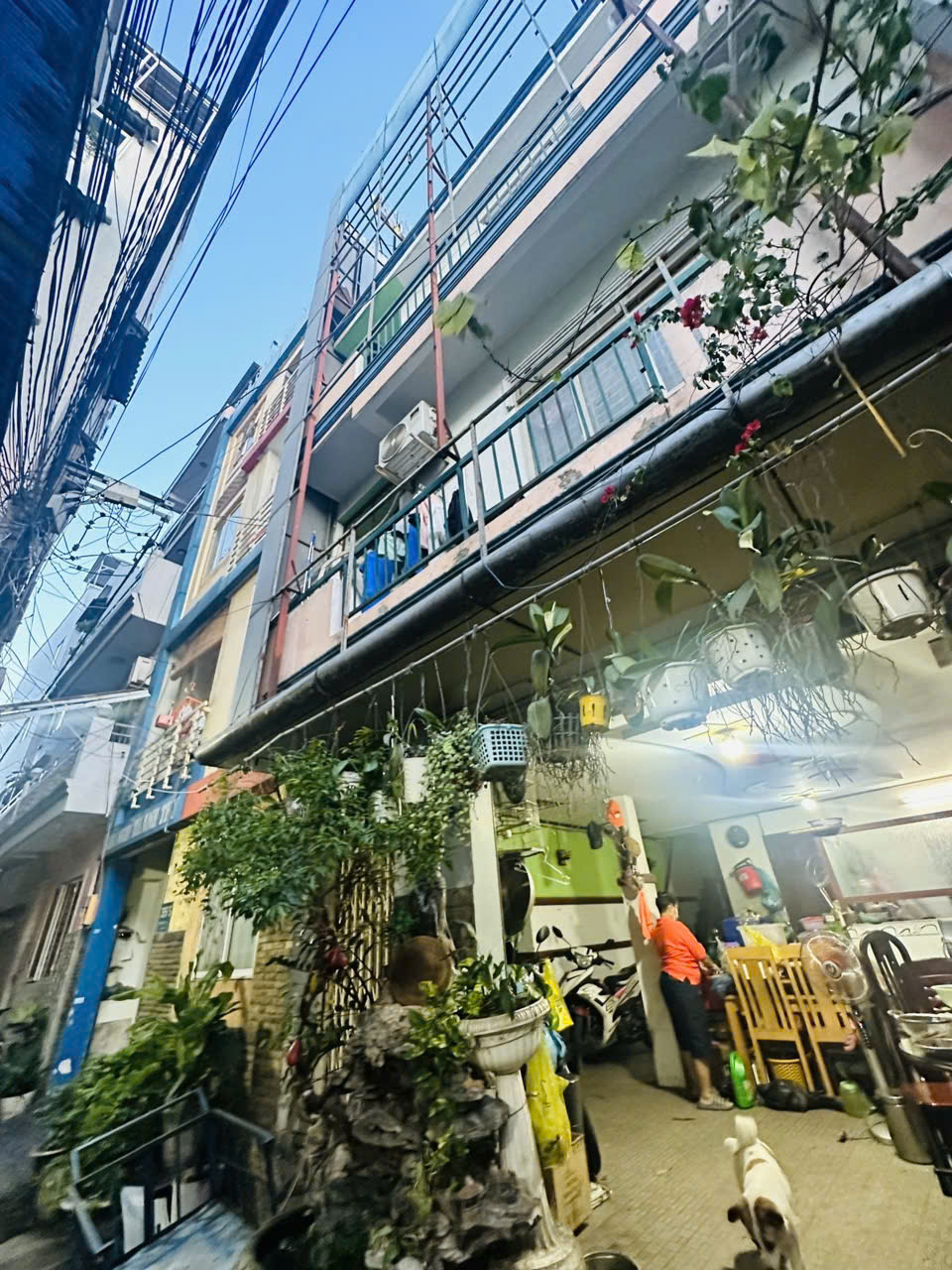 ban-nha-quan-10-duong-dong-nai