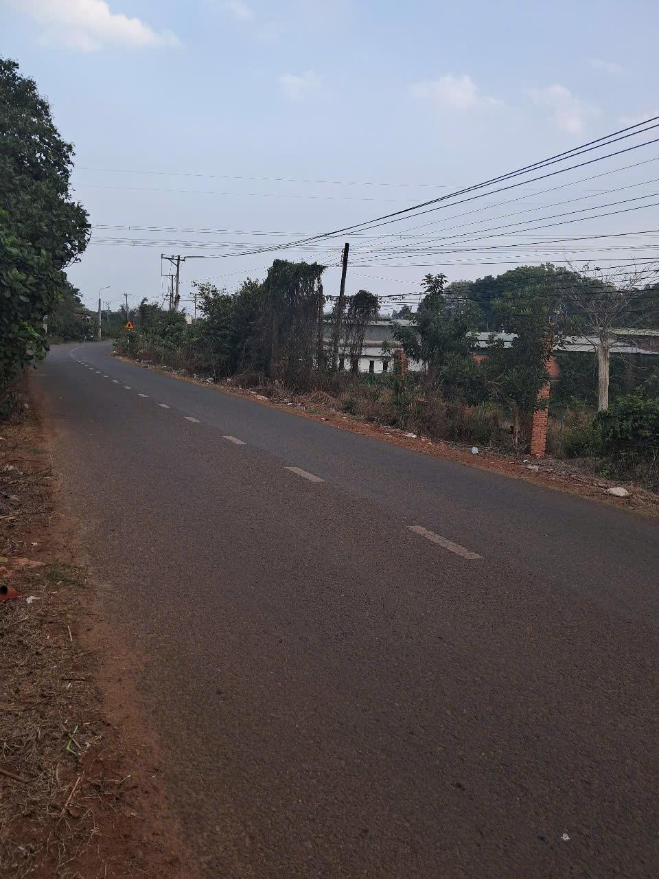 e929715d0a12bb4ce203