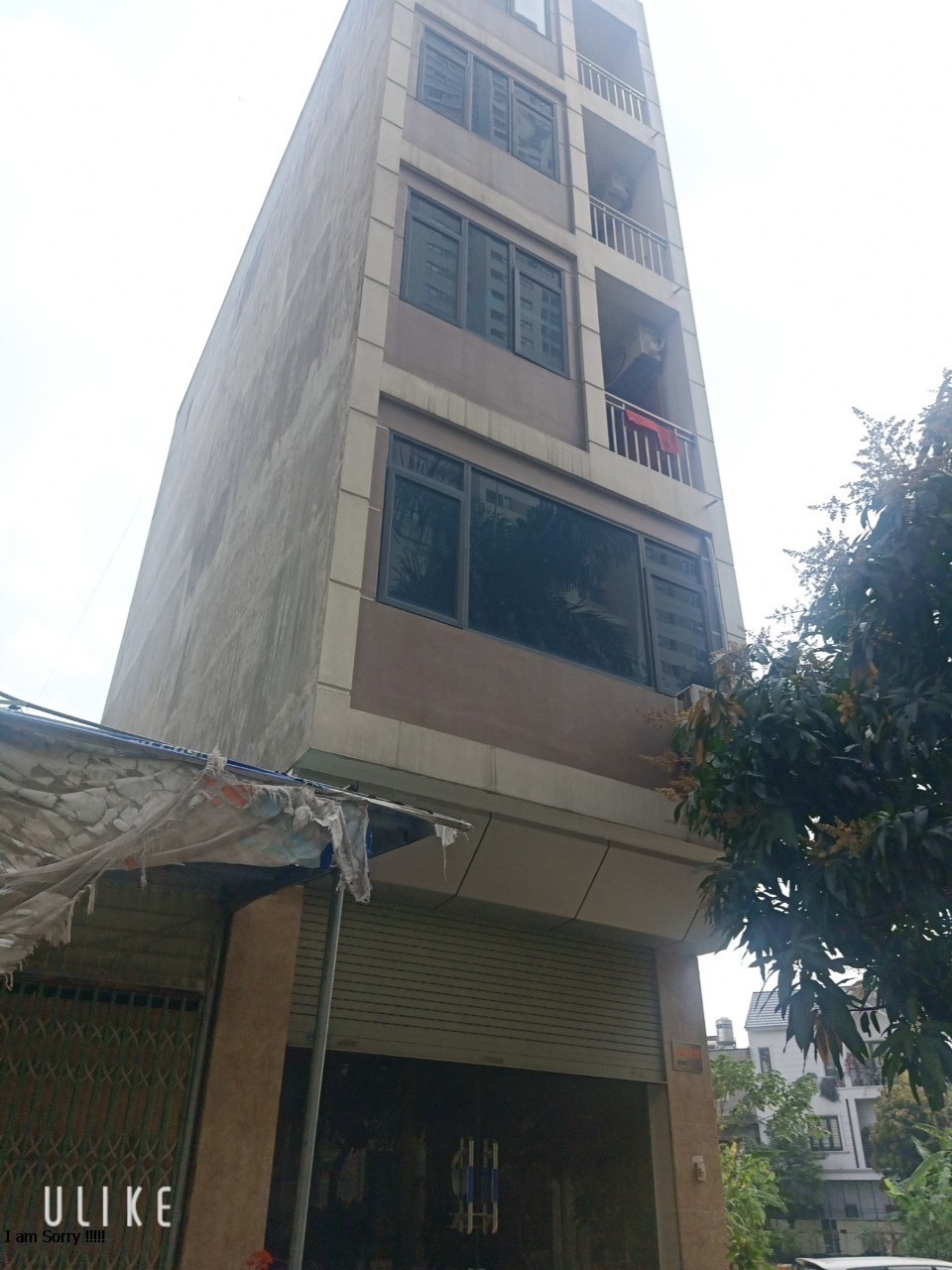 z4171594982614_ac965ff0a804056c0109d5ade5d6c04f