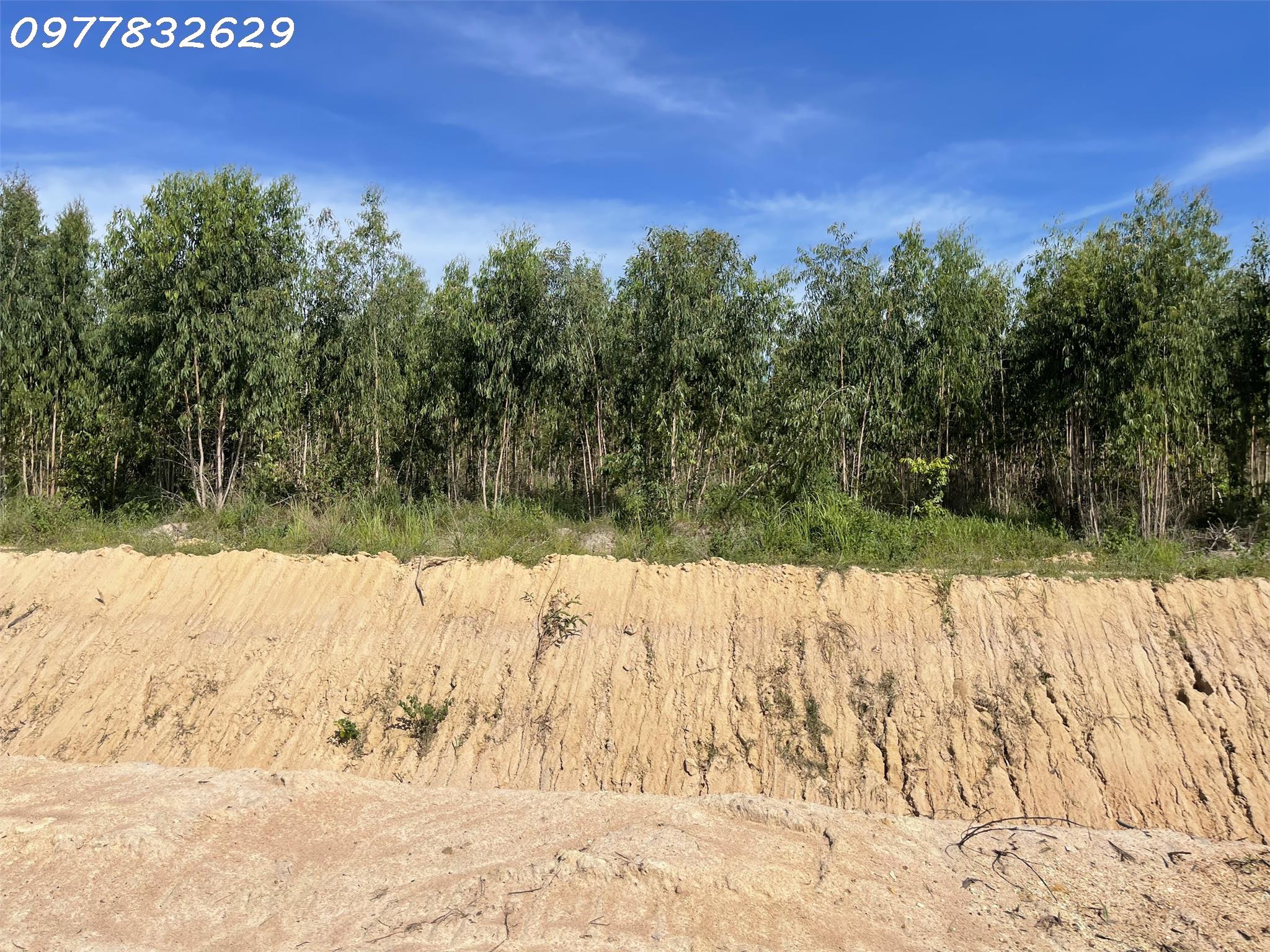 z4490237360873_3b0d31fba85c469f8c3362a5d9d7c612