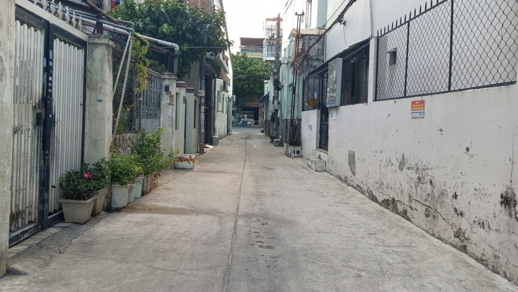 z5341468531788_f97048cc3caf400e9a4f45d47ca5b904