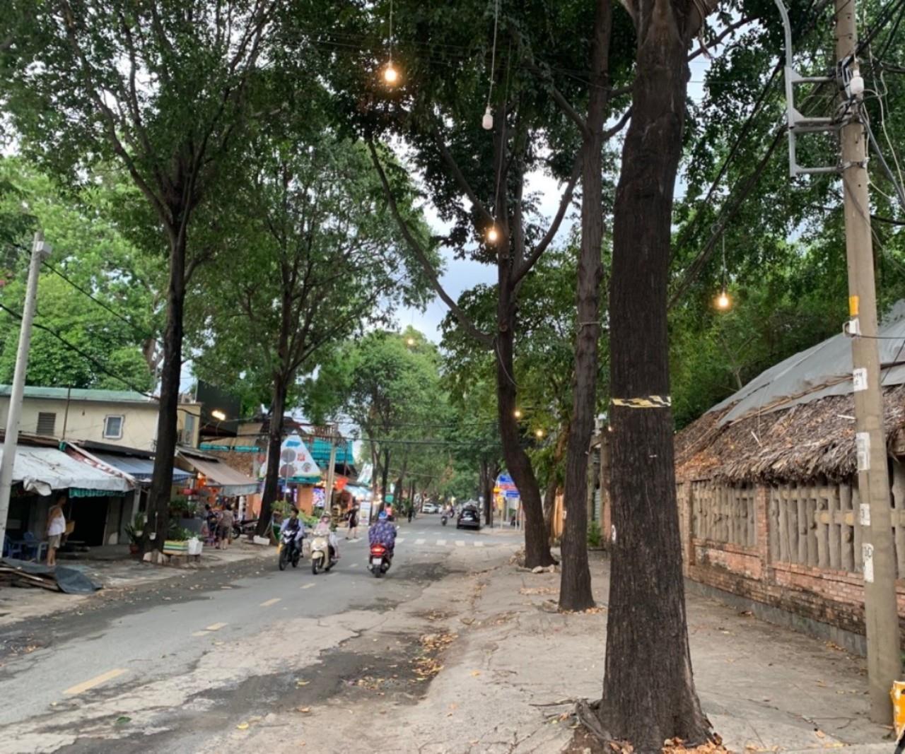 z5651437055899_66e0e251af2ce705f83a0a6732857cd2