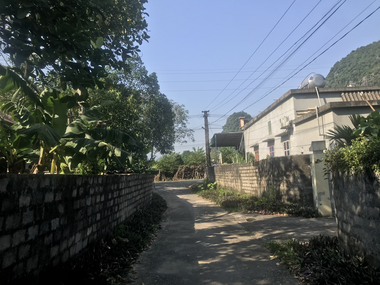 z5901585317933_c8c2f8067319124f4217a9a1d9315ec9