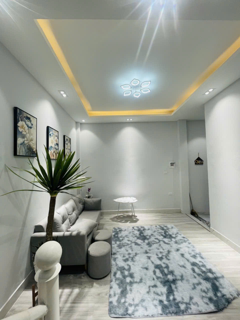 z6007064202147_b0f508c91afa5e7d747af723526014ad