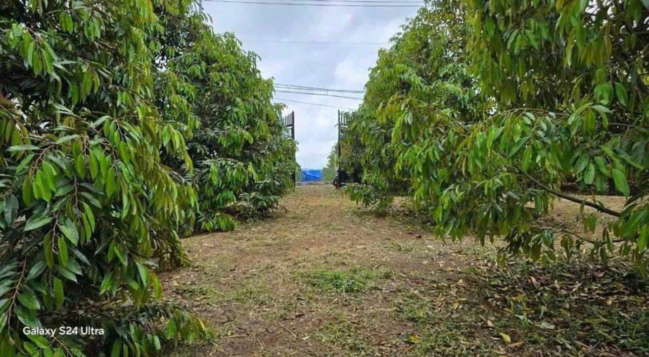 z6144671299299_4dc67f855af2730218574235d74f510f.jpg_bak_638709724280580977