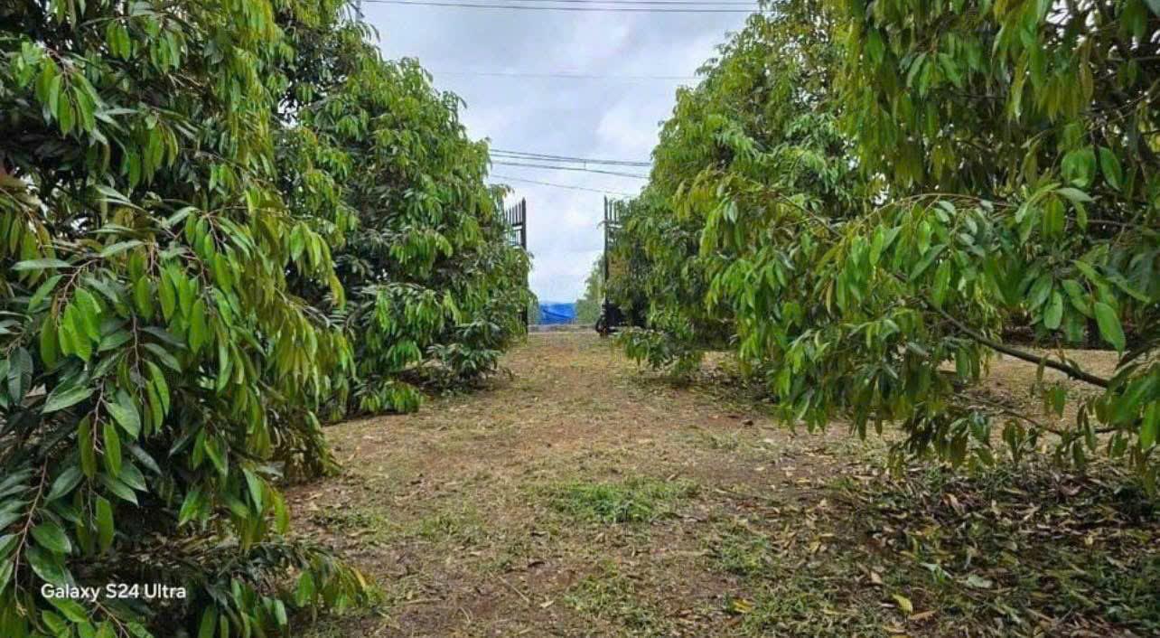 z6144671299299_4dc67f855af2730218574235d74f510f