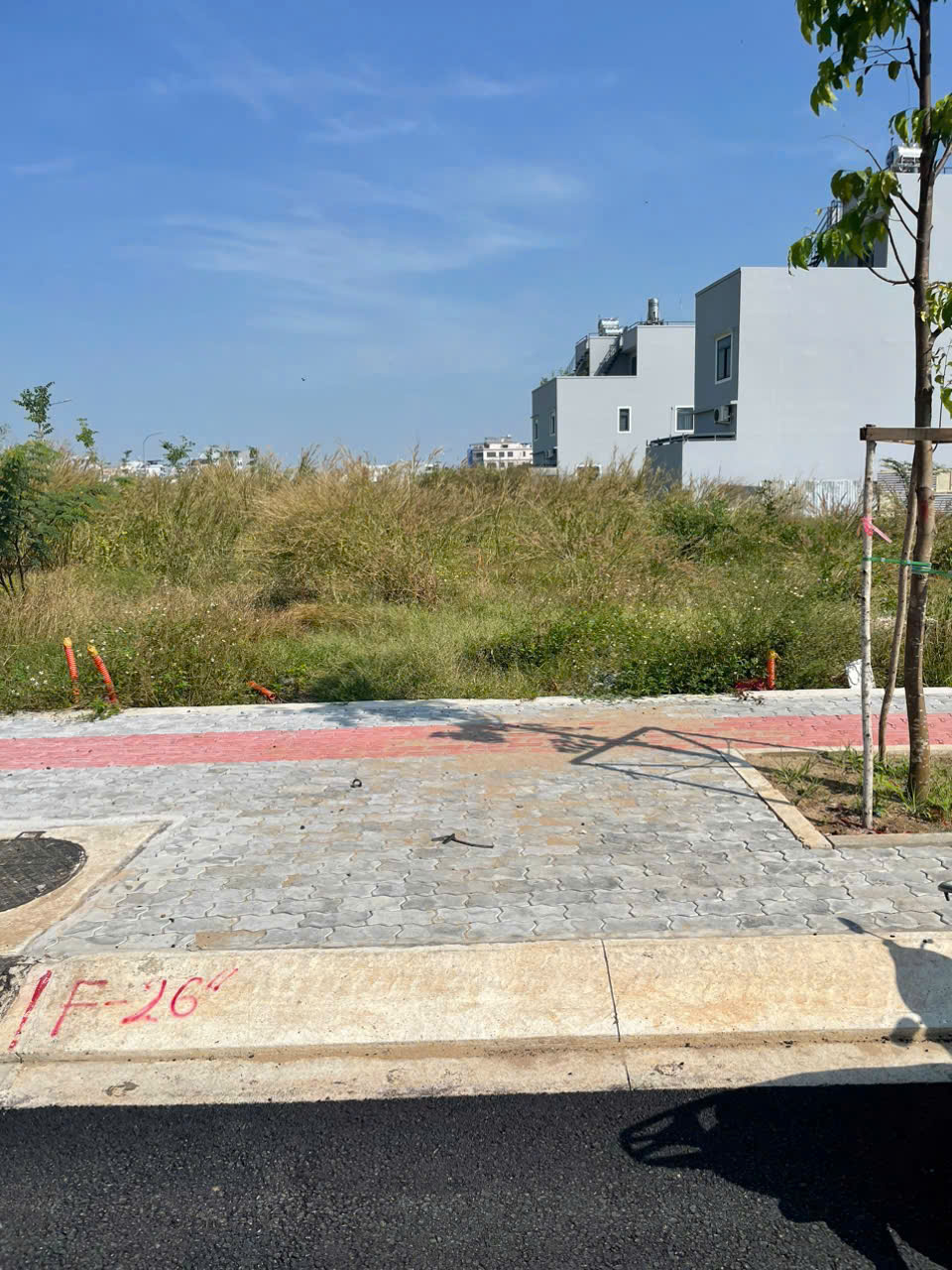 z6179776601206_151d3b9a7d3fe22276b5f3cb4f0fc1cc